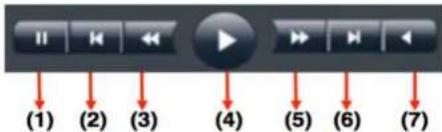 (1) (2) (3) (4) (5) (6) (7)