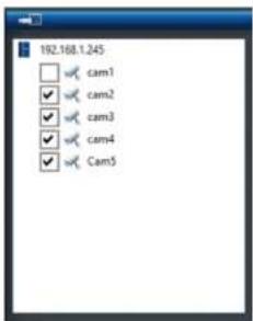 192.168.1.245 □ Cam1 ✓ cam2 ✓ cam3 ✓ cam4 ✓ Cam5