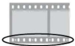 NIKON Coolscan V ED - Scansione di film corti, lunghi o danneggiati - 12