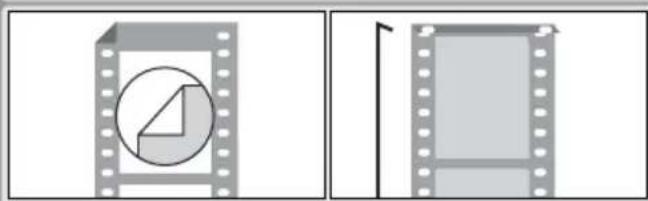 NIKON Coolscan V ED - Scansione di film corti, lunghi o danneggiati - 7