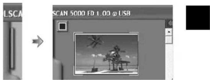 NIKON Coolscan V ED - De tab van de thumbnail-lade - 1