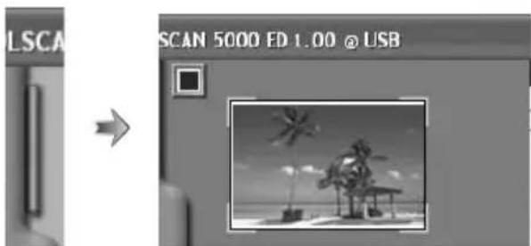 NIKON Coolscan V ED - Bildindex - 1