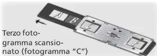 Terzo foto- gramma scansio- nato (fotogramma "C")