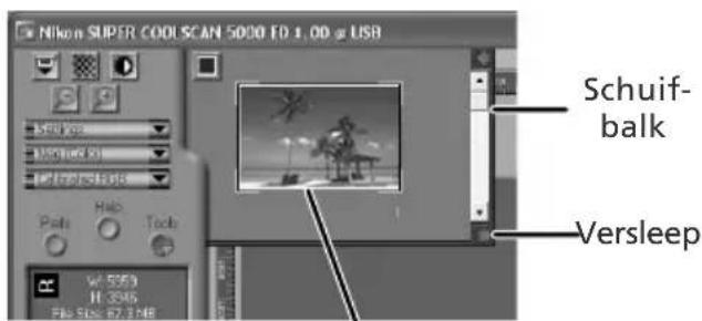 Nikon SUPER COOL SCAN 5000 ED 1.00 @ USB Schuif- balk Versleep W: 5369 H: 3545 File Size: 87.31MB