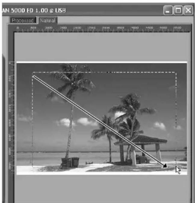 NIKON Coolscan V ED - Selecteer een uitsnede - 1