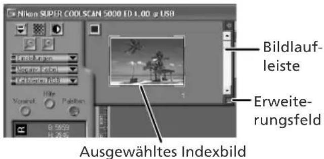 Nikon SUPER COOL SCAN 5000 ED 1.00 @ USB Tensel Vortex Vortex Angle Konzern Ratch Vortex Hite Palatios B.5959 H.7895 Bildlauf- leiste Erweite- rungsfeld Ausgewähltes Indexbild
