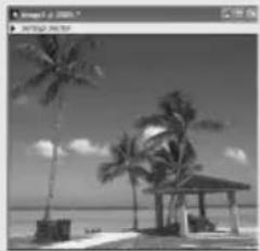 NIKON Coolscan V ED - Beelden opslaan (37) - 1