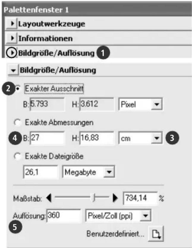 Palettenfenster 1 Layoutwerkzeuge Informationen Bildgröße/Auflösung 1 Bildgröße/Auflösung 2 Exakter Ausschnitt B:5.793 H:3.612 Pixel Exakte Abmessungen 4 B:27 H:16,83 cm Exakte Dategröße 26,1 Megabyte Maßstab: 734,14 % Auflösung:360 Pixel/Zoll (ppi) Benutzerdefiniert...