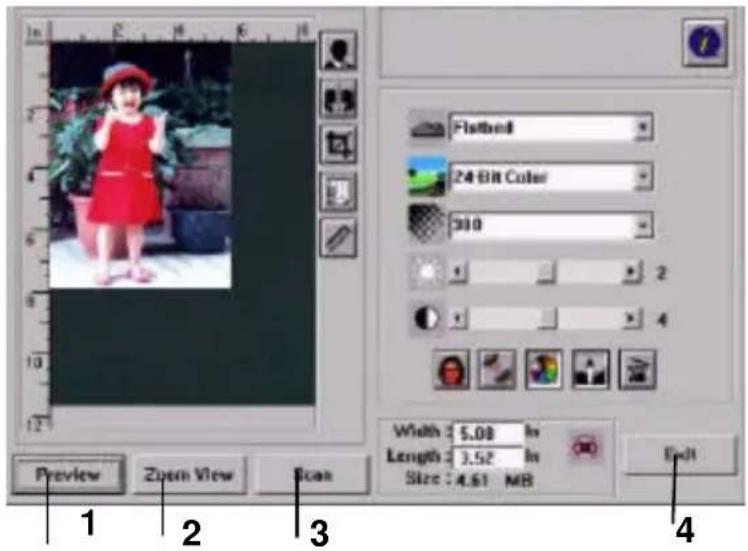 AVISION AV220 - Scanning with image editing software - 4