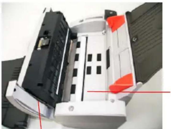 AVISION AV220 - Cleaning the Calibration Area - 1