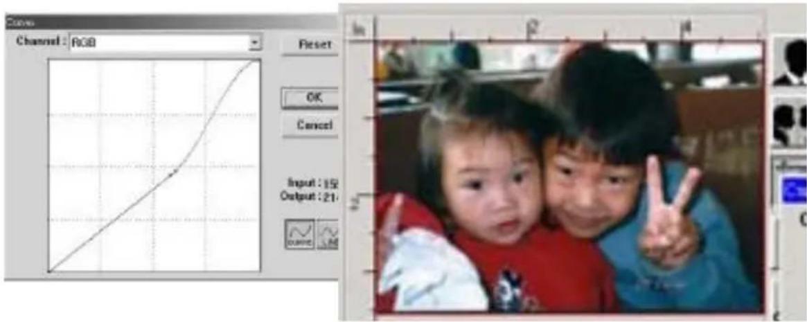 AVISION AV220 - Adjusting the Brightness Curve - 3