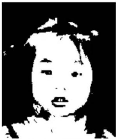 AVISION AV220 - Image Type - 2
