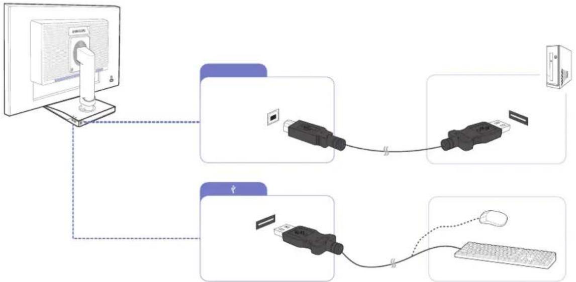 SAMSUNG S24C450DW - Anschließen mit USB - 2