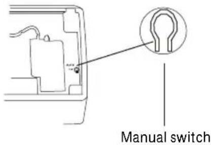 Manual switch