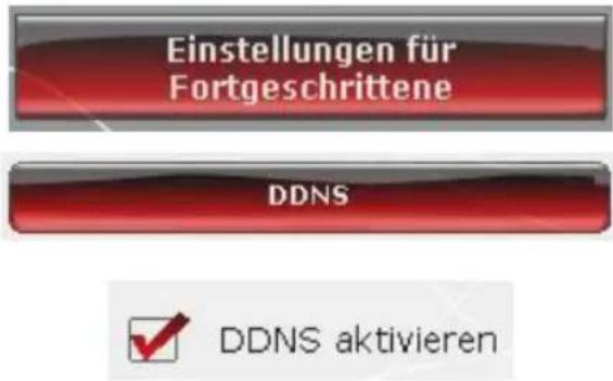 Einstellungen für Fortgeschrittene DDNS DDNS aktivieren