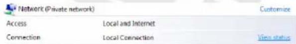 Network (Private network) Access Local and Internet Connection Local Connection Customize View status