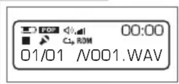 00:00 C1p ROM 01/01 /V001.WAV