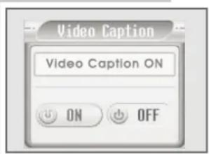 Video Caption Video Caption ON ON OFF