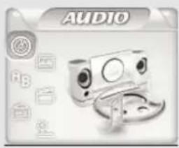 AUDIO