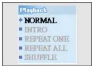 Playback + NORMAL ■ INTRO ■ REPEAT ONE ■ REPEAT ALL ■ SHUFFLE