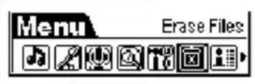 Menu Erase Files