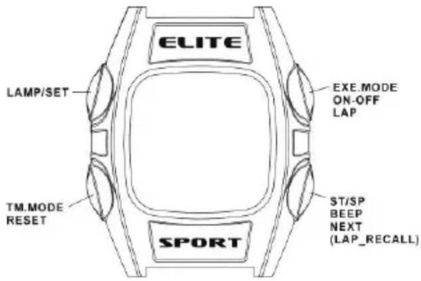 Echowell Elite T-301 - Ihr PULSPORTS besteht aus vier Teilen. - 4