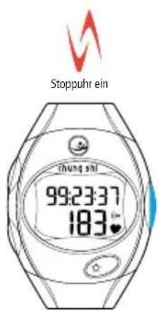 Chung Shi Power - VERWENDUNG DIESER ANLEITUNG - 2
