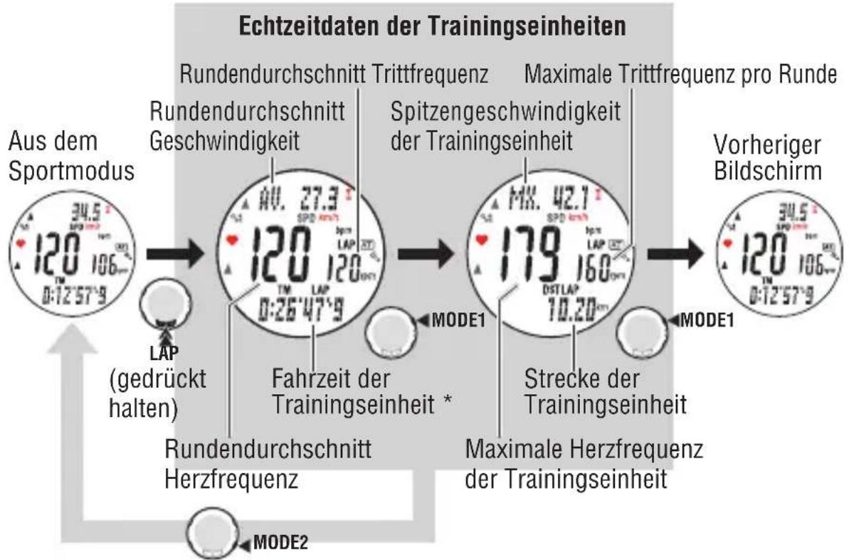 Cateye MSC-CY300 - Echtzeitdaten der Trainingseinheiten - 1