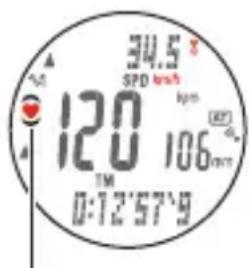 Cateye MSC-CY300 - Herzfrequenz-Zielzone - 4