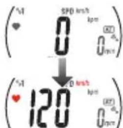 Cateye MSC-CY300 - Sensor für die Herzfrequenz - 1