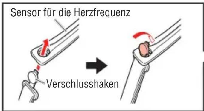 Cateye MSC-CY300 - Tragen des Sensors für die Herzfrequenz - 1