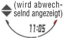 Cateye MSC-CY300 - Ansehen der Dateiinhalte - 7