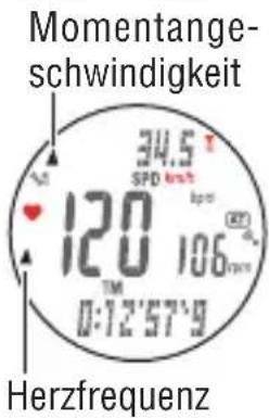 Cateye MSC-CY300 - Pfeilanzeige - 2