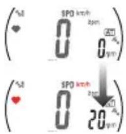 Cateye MSC-CY200 - Geschwindigkeitssensor (CADENCE-Seite) - 1