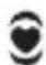 Cateye MSC-CY200 - Herzfrequenz-Zielzone - 1