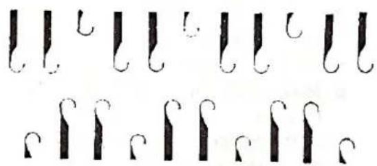 Image displaying multiple cursive symbols arranged in a grid-like pattern, possibly representing musical notation or decorative text.