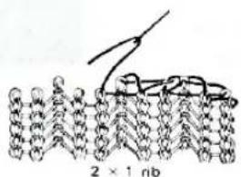2 × 1 nb