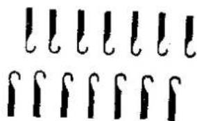 Image showing a series of stylized cursive or letter-like symbols, possibly representing musical notation or decorative text.