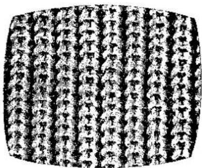 Black-and-white image of dense, vertically aligned Chinese characters arranged in a grid pattern.