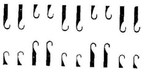 Image displaying multiple cursive symbols arranged in two rows, possibly representing musical notation or decorative text.