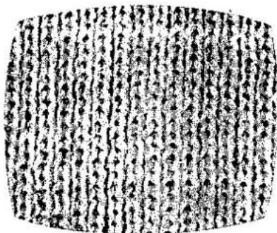 Ancient Chinese bamboo slips with dense vertical columns of inscribed characters