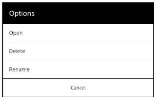 Options Open Delete Rename Cancel
