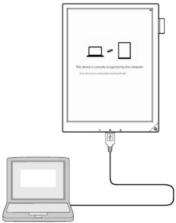 This device is correctly recognized by the computer. Draw for console 6 complete before adding 200 bits.