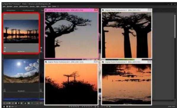 CANON Digital Photo Professional 4.2 Windows - Überprüfen eines Bildes in den zweiten Fenstern - 1