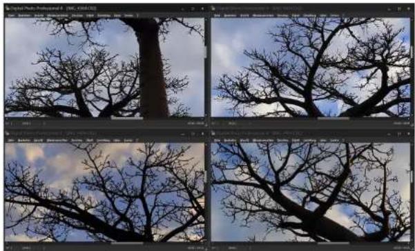CANON Digital Photo Professional 4.2 Windows - Einstellen durch den Vergleich mehrerer Bilder - 1