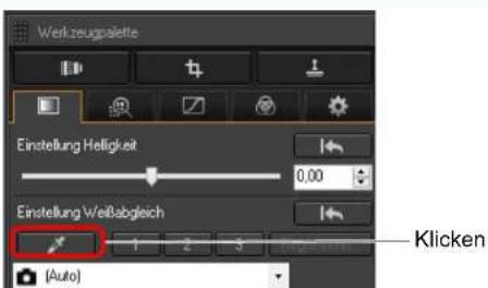 Werkzeugpalette Einstellung Helligkeit 0,00 Einstellung Weißabgleich 1 2 3 Klicken [Auto]