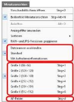 Ministransichten Verschubelschern öffnen Strg+0 Bedienfeld Ministransichten Strg+Alt+N Anleihen Alt+0 Anzugeffter anwenden Sofernen RAW- und JPG-Verändern grupieren Dataanzen ausbunden Standard Mit Aufnahmenformationsen Größe 1 (84×84) Strg+1 Größe 2 (126×126) Strg+2 Größe 3 (168×168) Strg+3 Größe 4 (252×252) Strg+4 Größe 5 (384×384) Strg+5 Größe 6 (512×512) Strg+6 AF-Felder Strg+3