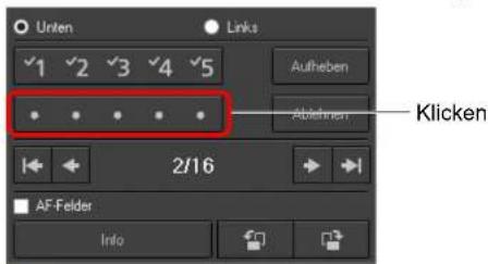 Unten Links √1 √2 √3 √4 √5 Aufheben Ableihren Klicken 2/16 AF Felder Info
