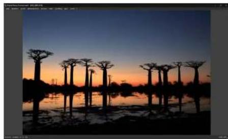 CANON Digital Photo Professional 4.2 Windows - Automatische Staubentfernung - 1