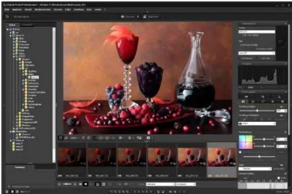 CANON Digital Photo Professional 4.2 Windows - Machen Sie die Aufnahme. - 2